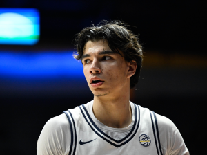 

Illinois secures commitment from Cal transfer Andrej Stojakovic